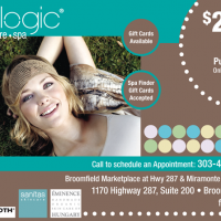 Facelogic_V21_7_BF.indd