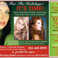 PerfectaSalonV19_8_LS.indd