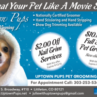 UpTownPupsGroomV19_6_DTGV.indd