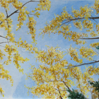 Digital image of original acrylic painting by Linda Eileen S. George a.k.a "Lin" George on canvas entitled 'Blackberry Winter'; 18" h x 24" w, a scene of a grove of bright yellow autumn aspens reaching to a sunny blue sky, as seen by lying on the ground looking upward between the aspens