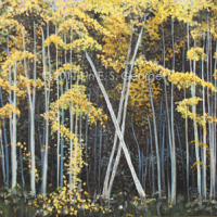 Digital image of original acrylic painting by Linda Eileen S. George a.k.a "Lin" George on canvas entitled 'Dangerous Beauty'; 30" h x 40" w, a scene depicting a grove of golden aspen trees in autumn all in a row near Gold Hill, Colorado, just before the great fires that hit the area in 2011; the white trunks pop against the shadowy background of darker and thicker trees, and the yellow, amber and ochre leaves cascade in dancing patterns among the trunks and branches, before them some sparse and wilting green grass is littered with a carpet of sunny leaves