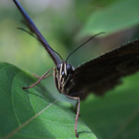 Digital photo sample by Greg W. George