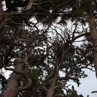 Digital photo sample by Greg W. George