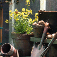 Potting Shed Vignette