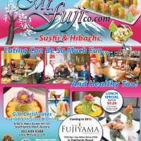 MtFujiPoster11292009.indd