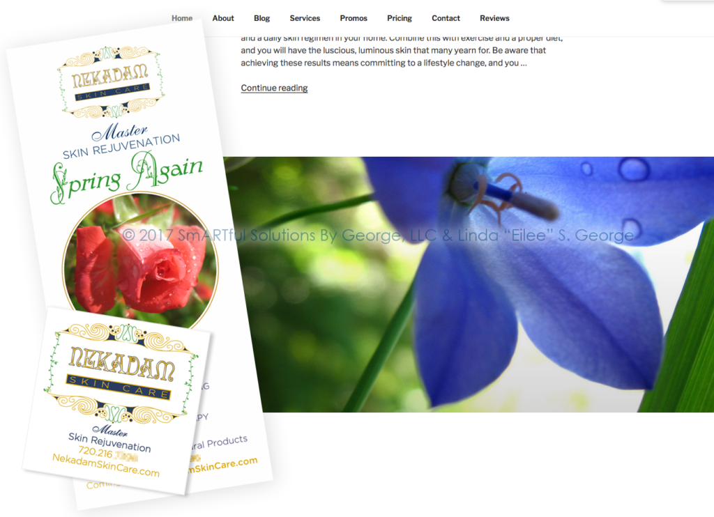 Image of branding for client Nekadam Skin Care done by Linda "Eilee" S. George and SmARTful Solutions By George, LLC; screen capture shows a well-populated menu and evidence of a blog.